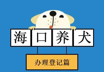 铲屎官们在海口市区养犬这些事项你要注意