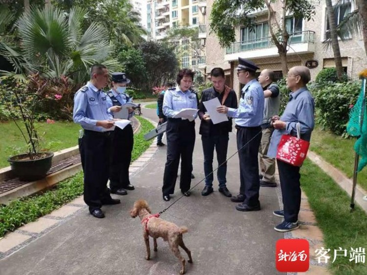 已登记的海口犬只不足十分之一 听听办了证的养犬人怎么说？