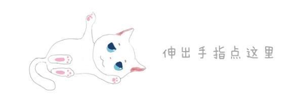 猫咪爱抢电脑无法工作？铲屎官轻松解决世纪难题