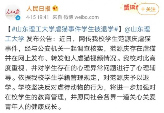 媒体对“虐待动物入刑”进行了调查，全国人大代表再次推出“禁止虐待动物法”